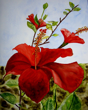 Aquarellbild Pflanzen - Hibiskusblüte