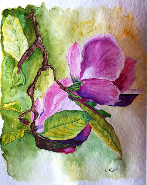 Aquarellbild Pflanzen - Magnolienblüten