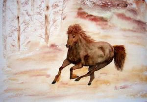 Aquarellbild Tiere - Pferd - Wilder Hengst